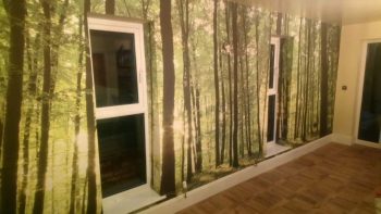 Mural Woodland full view